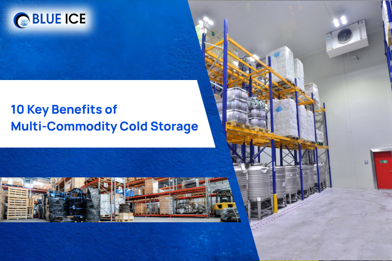 10 Key Benefits of Multi-Commodity Cold Storage