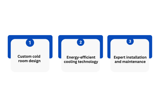 Build the Best Cold Storage with Blue Ice India
