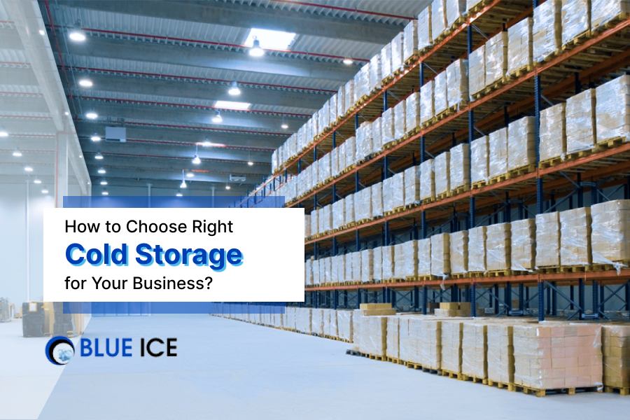 How to Choose Right Cold Storage for Your Business