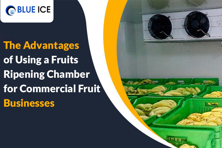 The Advantages of Using a Fruit Ripening Chamber for Commercial Fruit Businesses