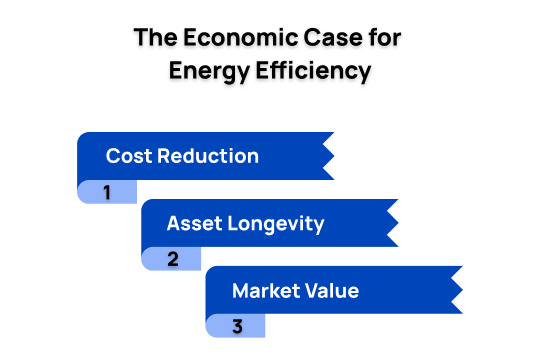 The Economic Case for Energy Efficiency
