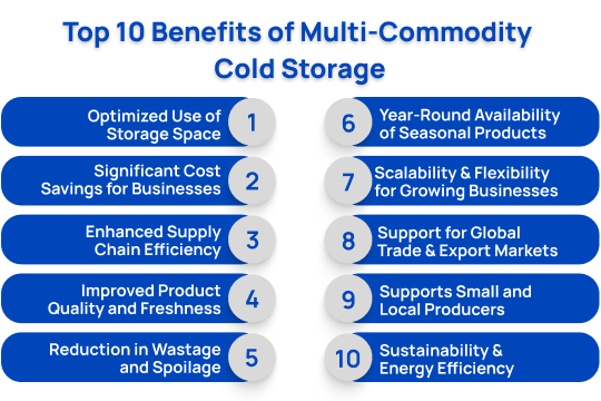Top 10 Benefits of Multi-Commodity Cold Storage