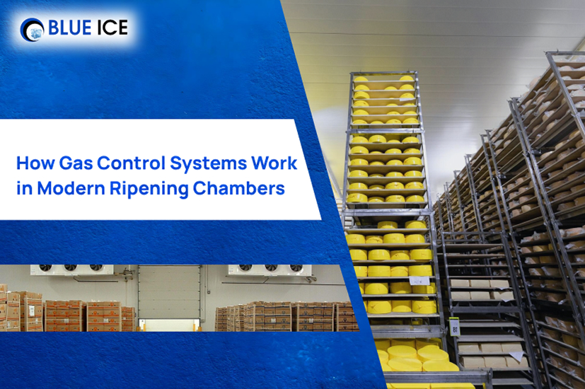 How Gas Control Systems Work in Modern Ripening Chambers
