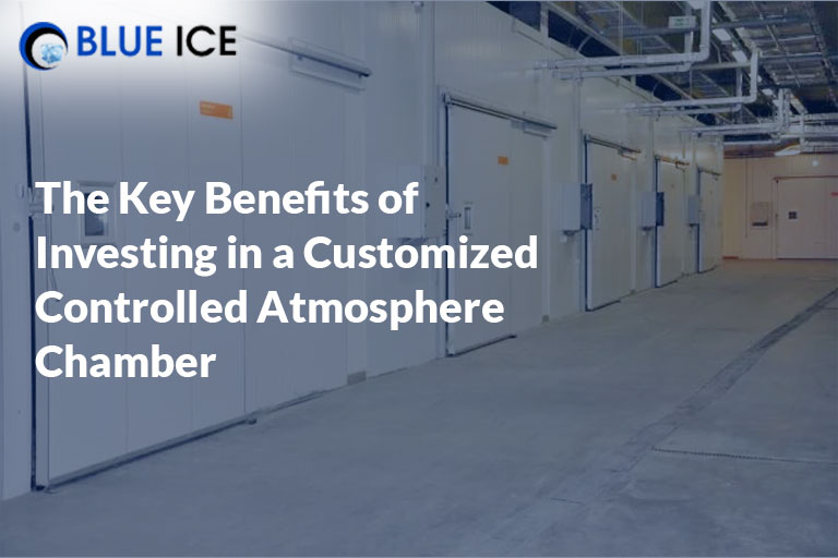 the key benefits of investing in a customised controlled atmosphere chamber
