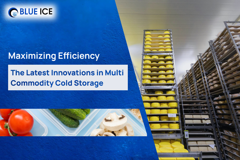 multi commodity cold storage