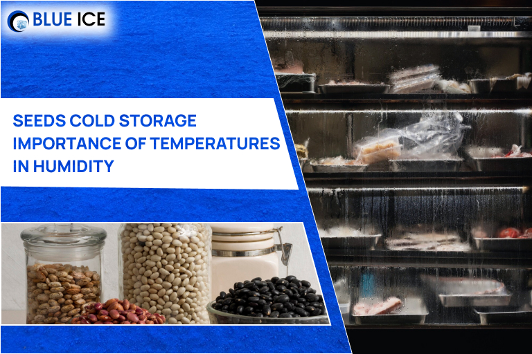 seeds cold storage importance of temperatures in humidity