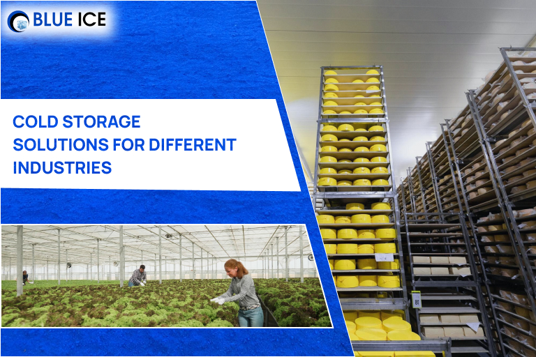 cold storage solutions different industries