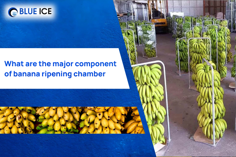 what are the major component of banana ripening chamber