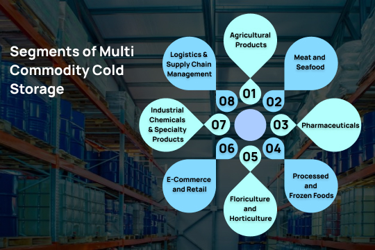 infographic segments of multi commodity cold storage