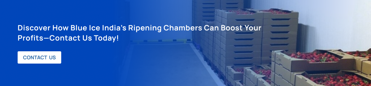 discover how blue ice indiaтАЩs ripening chambers can boost your profits contact us today