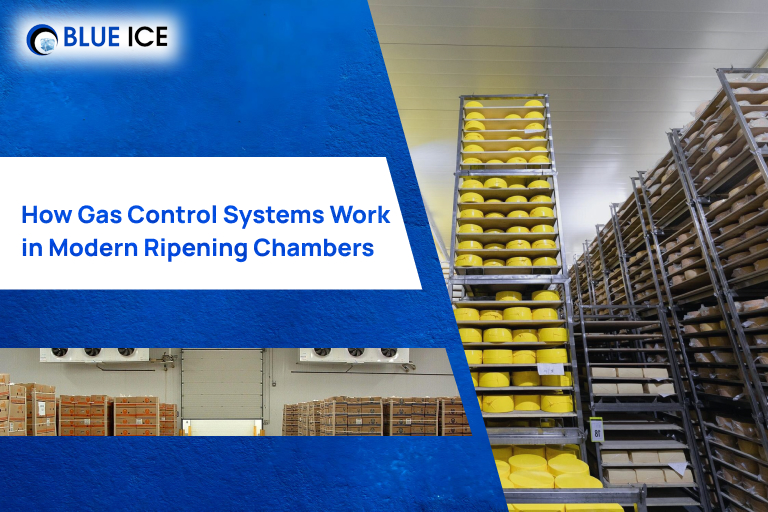 how gas control systems work in modern ripening chambers