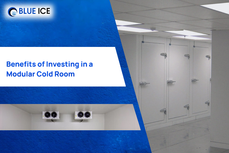 benefits of investing in a modular cold room