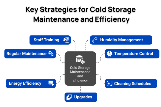 key strategies for cold storage maintenance and efficiency