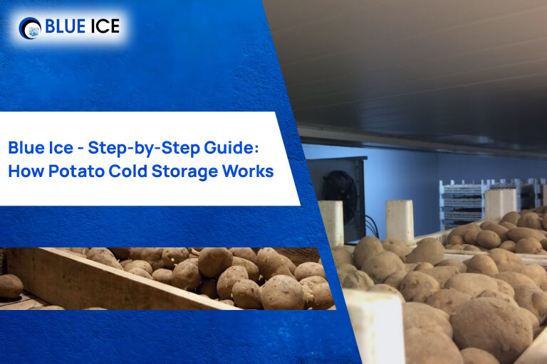 Step by Step Guide How Potato Cold Storage Works