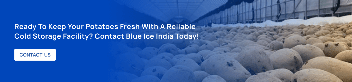 ready to keep your potatoes fresh with a reliable cold storage facility Contact Blue Ice India today!