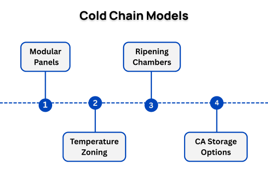 cold chain models
