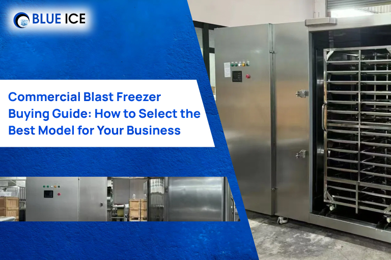 Commercial Blast Freezer Buying Guide How to Select the Best Model for Your Business
