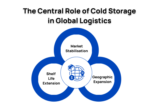 The Central Role of Cold Storage in Global Logistics
