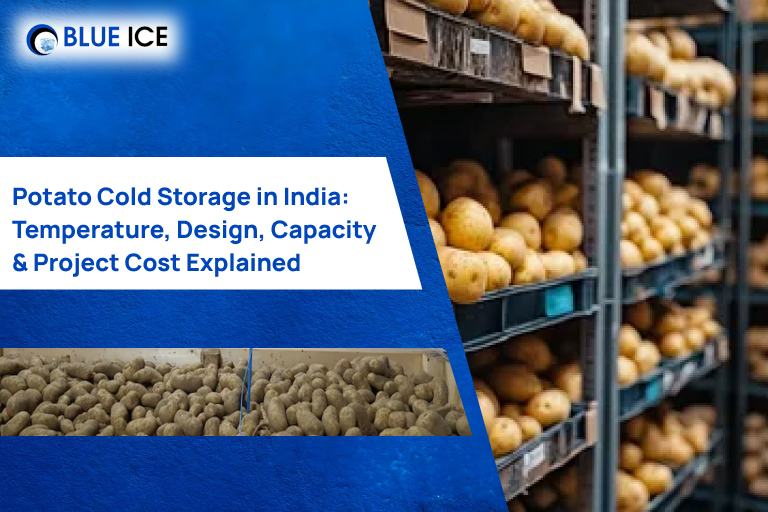 Potato Cold Storage in India Temperature, Design, Capacity & Project Cost Explained