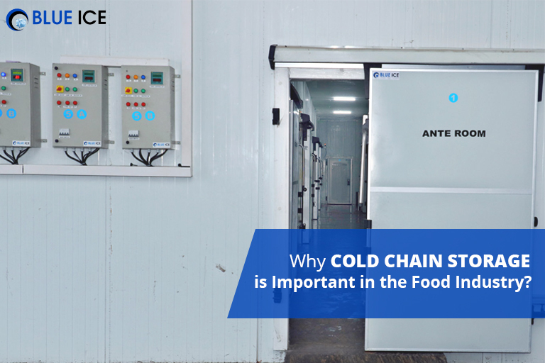Why Cold Chain Storage is important in the Food Industry