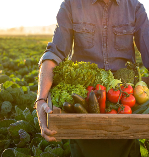 agriculture and horticulture 1