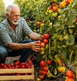 agriculture and horticulture 3