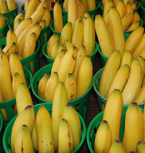 banana ripening