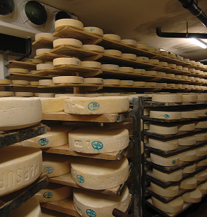 cheese storage