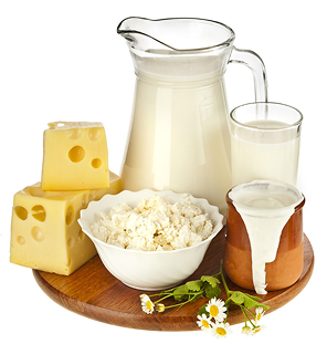 dairy milk milk products