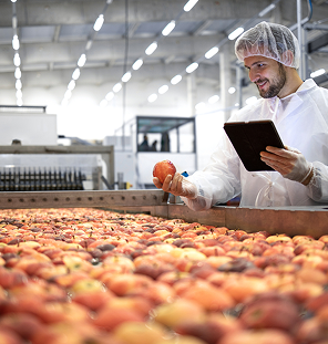 food processing and storage