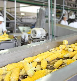 food processing storage 1