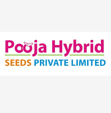 pooja hybrid seeds pvt ltd