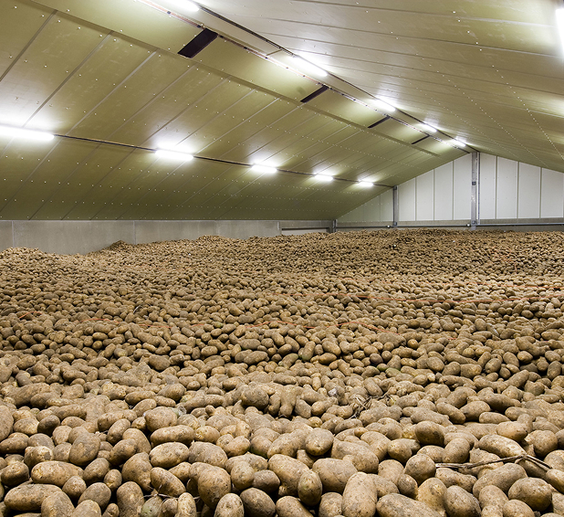 potato cold storage explore