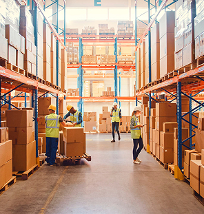 retail and distribution services