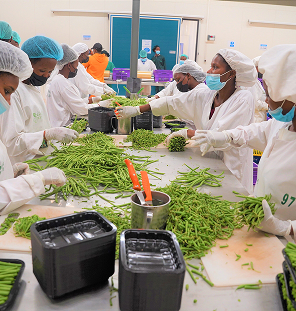 vegetable packhouse