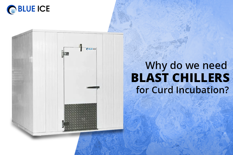 why do we need blast chillers for curd incubation