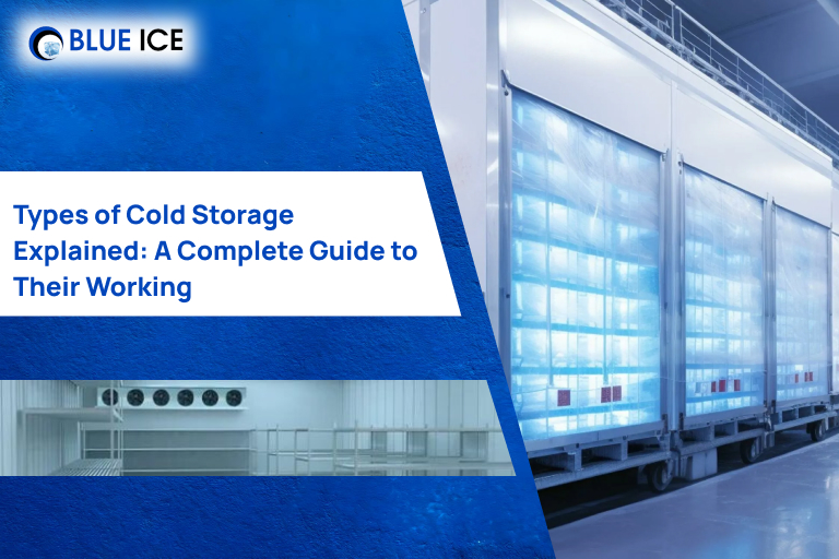 Types of Cold Storage Explained A Complete Guide to Their Working