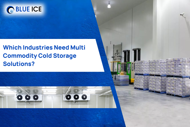 Which Industries Need Multi Commodity Cold Storage Solutions