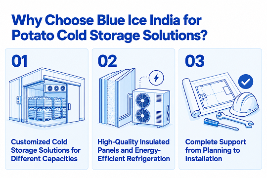 Why Choose Blue Ice India for Potato Cold Storage Solutions